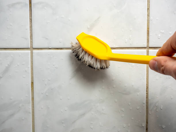 Best Water Damage Restoration  in Borger, TX