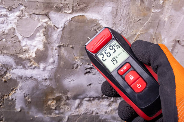 Best Mold Cleaning Services  in Borger, TX