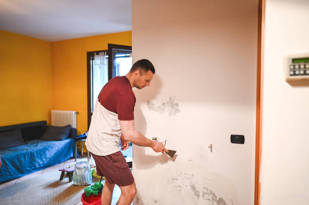 Best Local Mold Removal Service  in Borger, TX