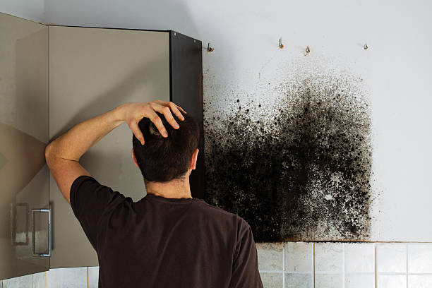 Best Crawl Space Mold Removal  in Borger, TX